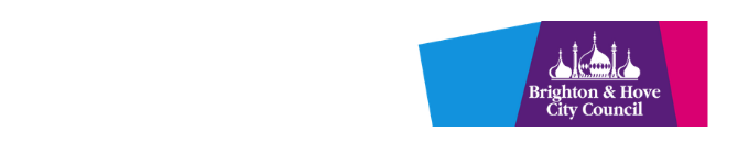 Brighton and Hove City Council partner organization logo